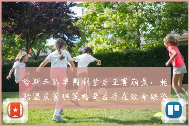 哈斯车队单圈刷紫后正赛崩盘，轮胎温度管理策略是否存在致命缺陷？